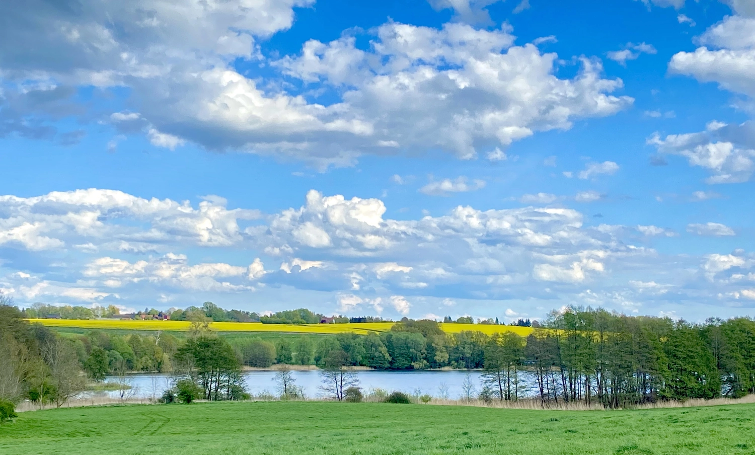Erbkrug Blankensee -  Ferienapartments - Natur und Umgebung