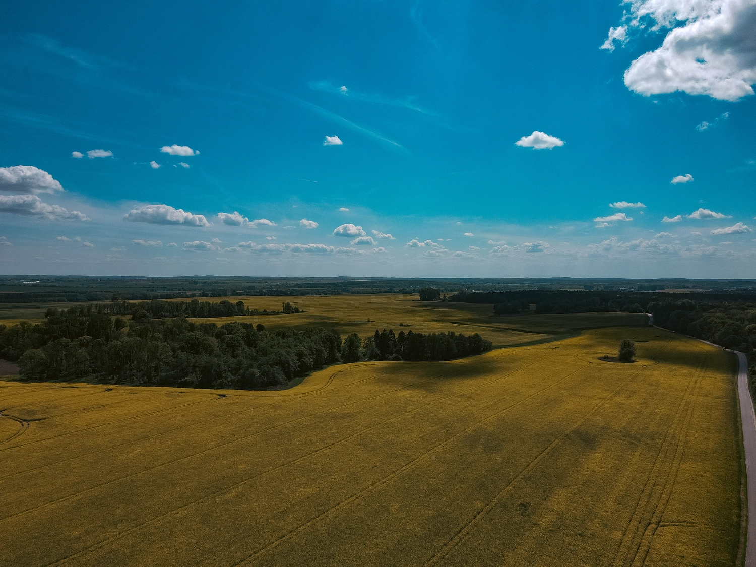 Erbkrug Blankensee -  Ferienapartments - Natur und Umgebung