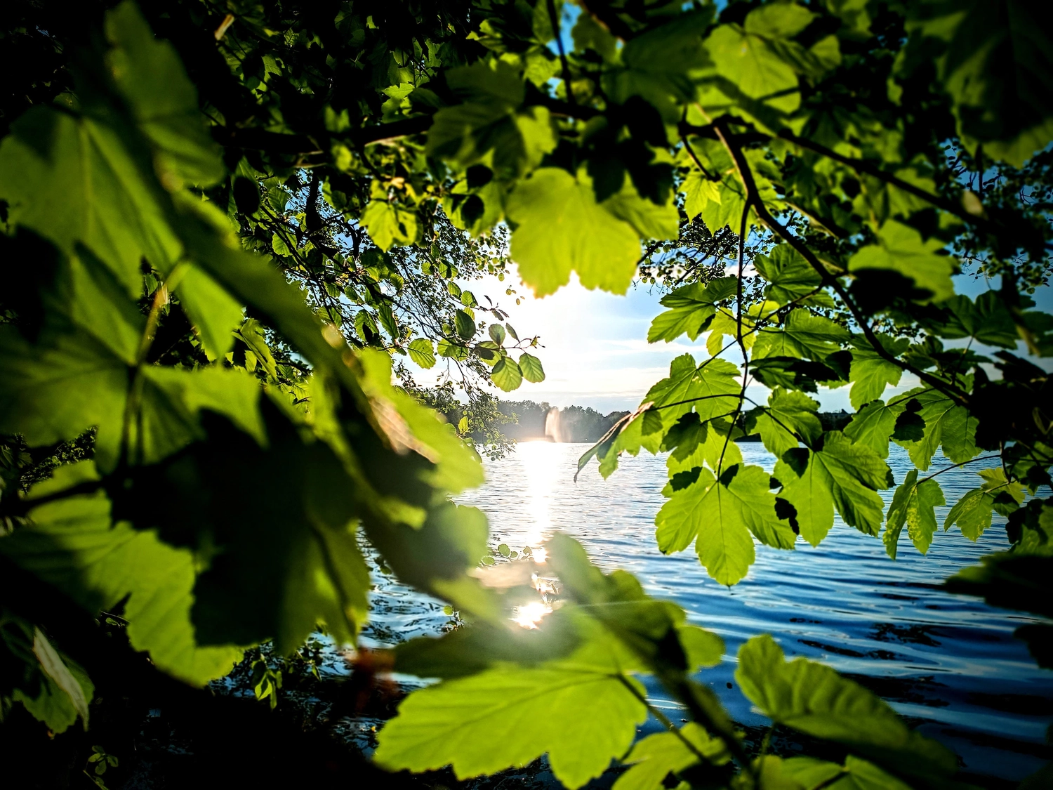Erbkrug Blankensee -  Ferienapartments - Natur und Umgebung