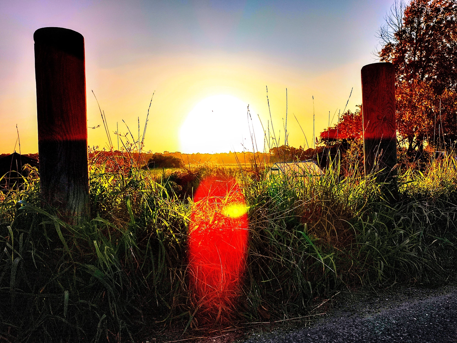 Erbkrug Blankensee -  Ferienapartments - Ein leuchtender Sonnenuntergang über einem grasbewachsenen Feld, eingerahmt von zwei Holzsäulen, mit einem hellroten Linsenreflex im Vordergrund.