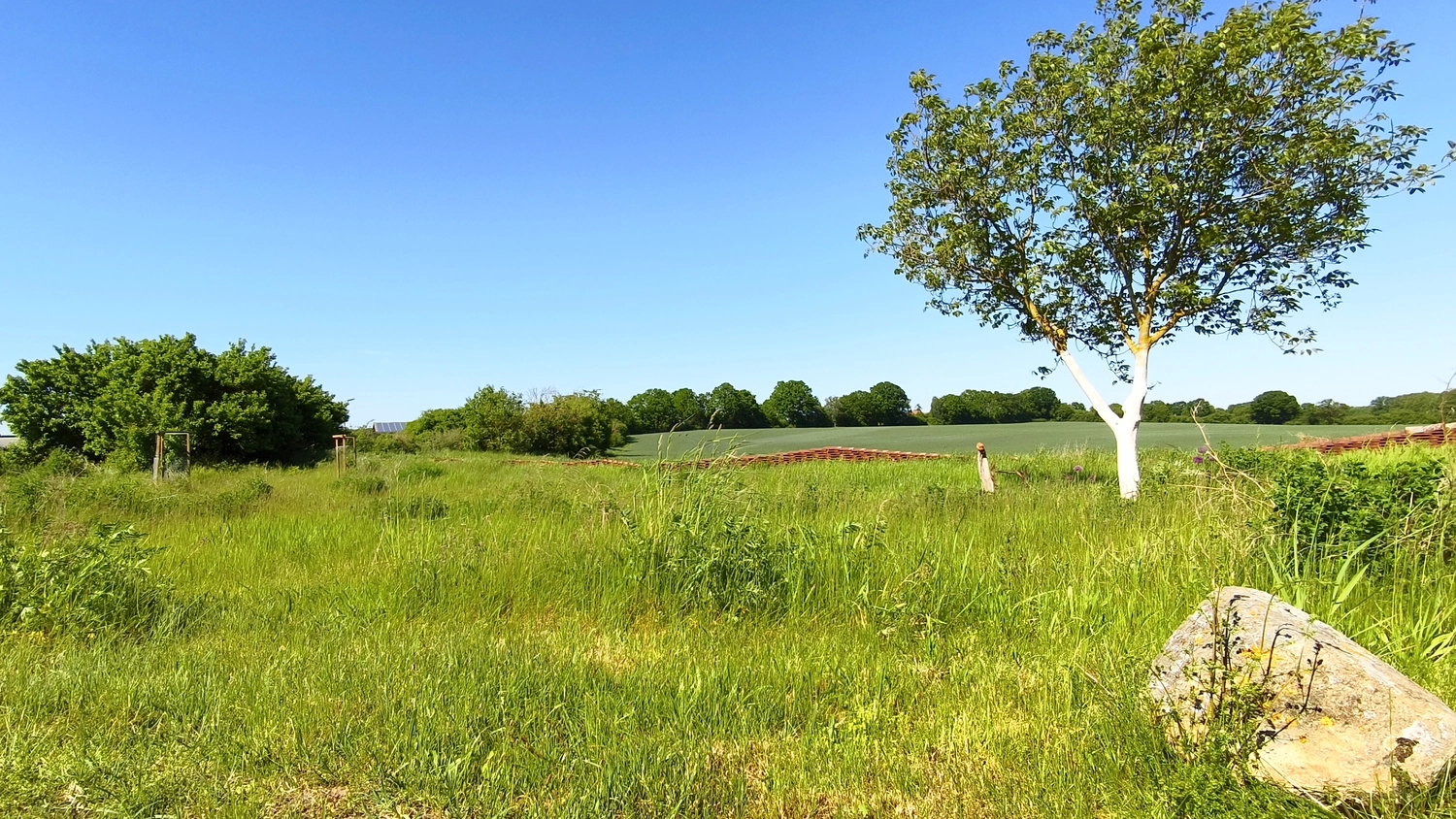 Erbkrug Blankensee -  Ferienapartments - Eine grasbewachsene Wiese unter einem klaren blauen Himmel