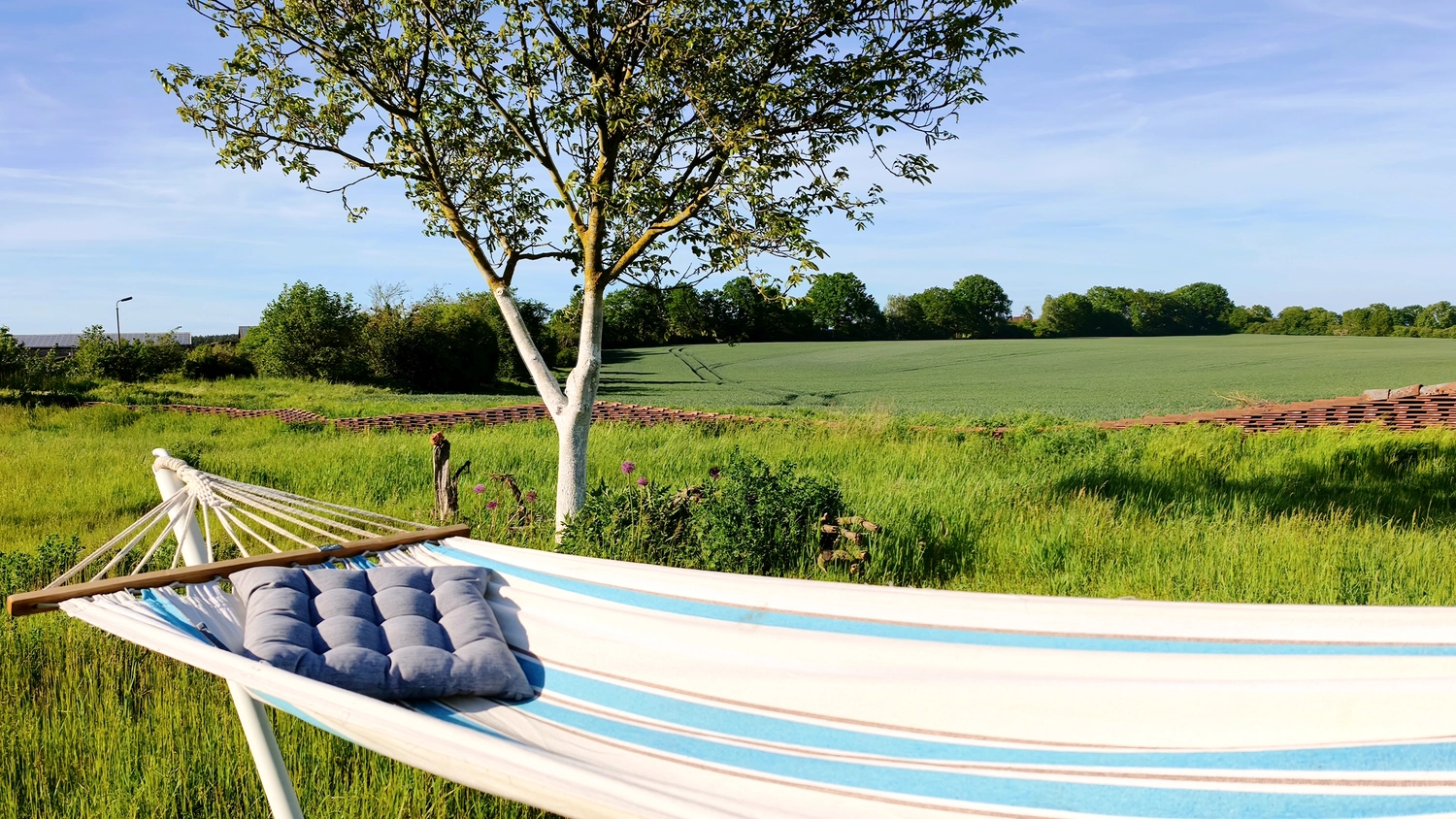 Erbkrug Blankensee -  Ferienapartments - In einem üppig grünen Rasengarten liegt eine blau-weiß gestreifte Hängematte mit einem grauen Kissen. Im Hintergrund sieht man einen weiß gestrichenen Baum und ein weites, offenes Feld unter blauem Himmel.